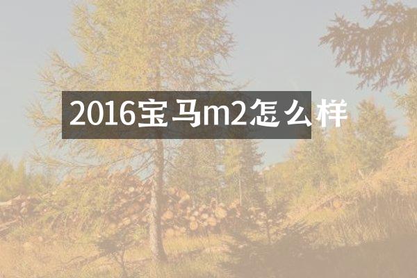 2016宝马m2怎么样