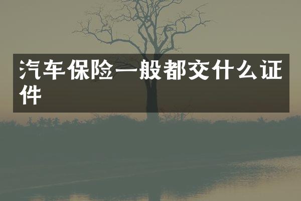 汽车保险一般都交什么证件