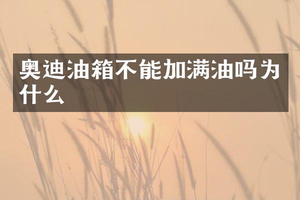 奥迪油箱不能加满油吗为什么