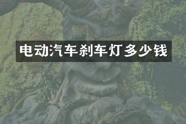 电动汽车刹车灯多少钱
