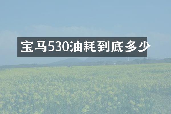 宝马530油耗到底多少