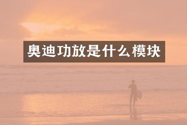 奥迪功放是什么模块