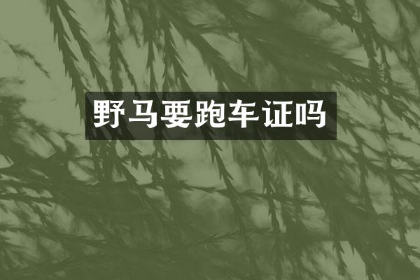 野马要跑车证吗