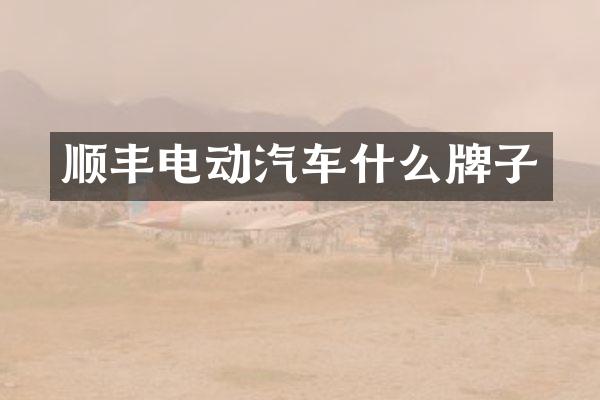 顺丰电动汽车什么牌子
