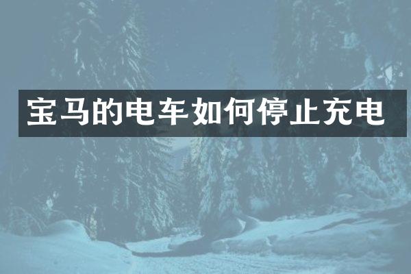 宝马的电车如何停止充电