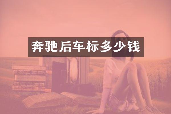 奔驰后车标多少钱