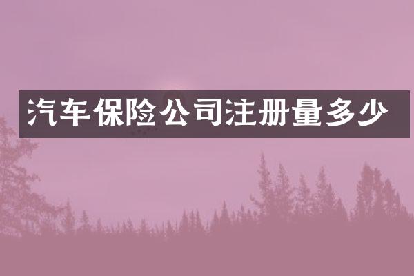 汽车保险公司注册量多少