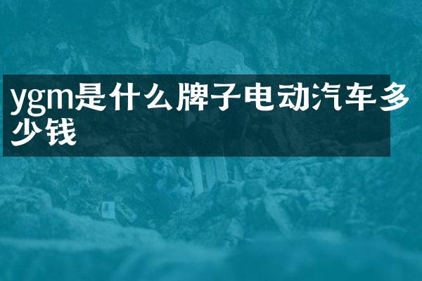 ygm是什么牌子电动汽车多少钱