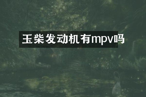 玉柴发动机有mpv吗