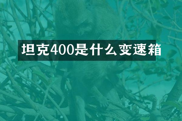 坦克400是什么变速箱