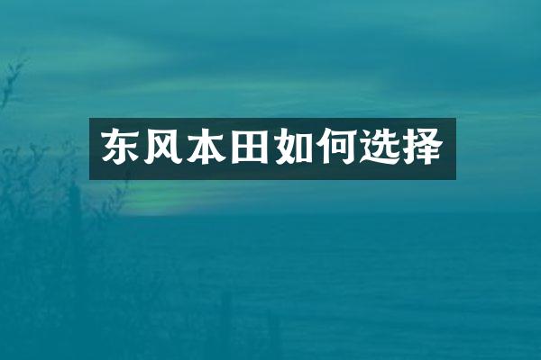 东风本田如何选择