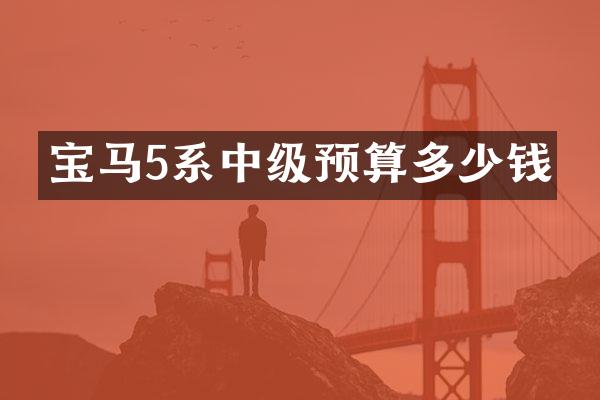 宝马5系中级预算多少钱