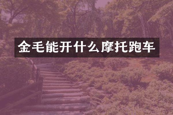 金毛能开什么摩托跑车