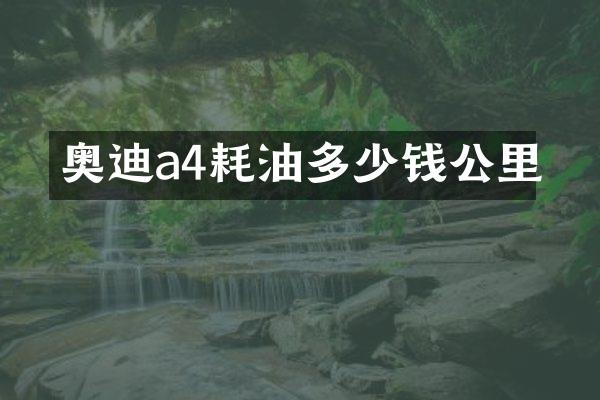 奥迪a4耗油多少钱公里