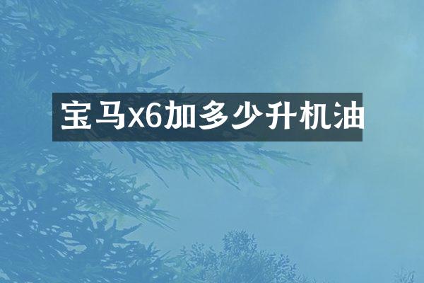 宝马x6加多少升机油