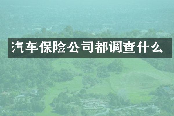 汽车保险公司都调查什么