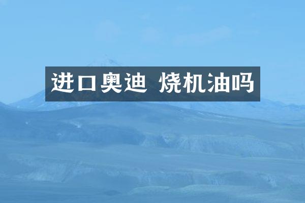 进口奥迪 烧机油吗