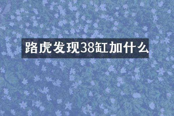 路虎发现38缸加什么