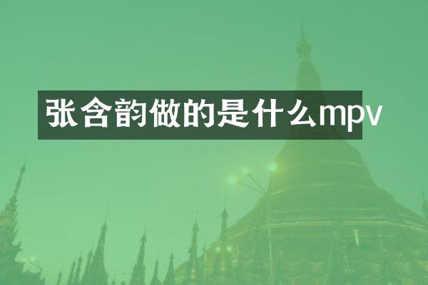 张含韵做的是什么mpv