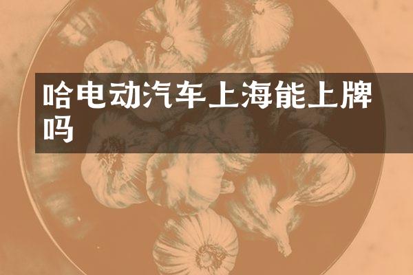 哈啰电动汽车上海能上牌吗