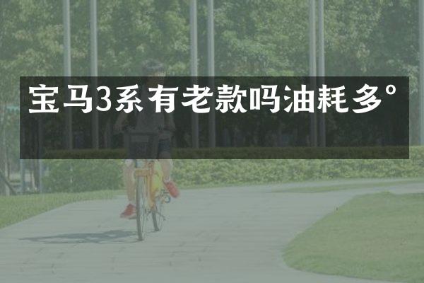 宝马3系有老款吗油耗多少