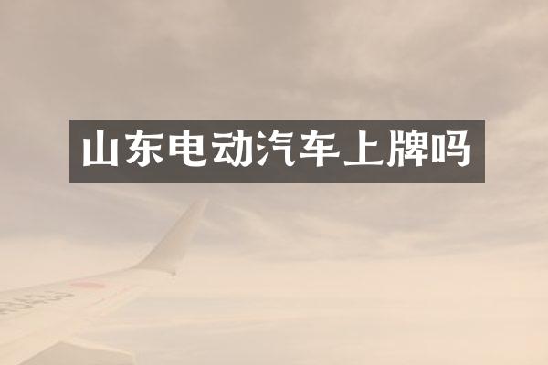 山东电动汽车上牌吗