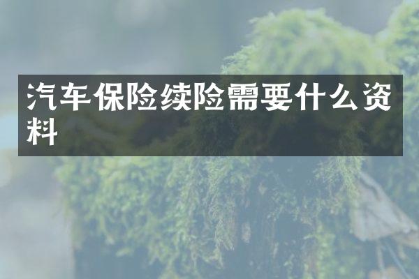 汽车保险续险需要什么资料