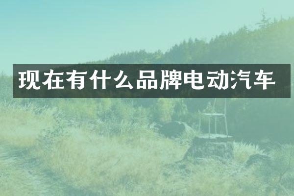 现在有什么品牌电动汽车