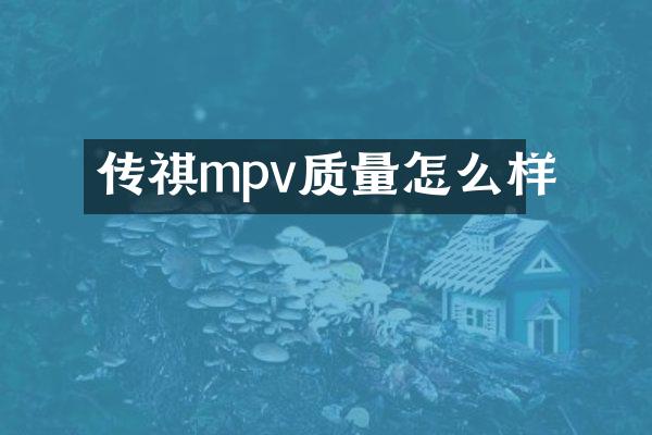 传祺mpv质量怎么样