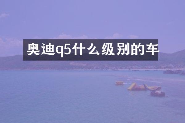 奥迪q5什么级别的车