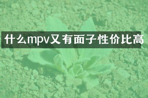 什么mpv又有面子性价比高
