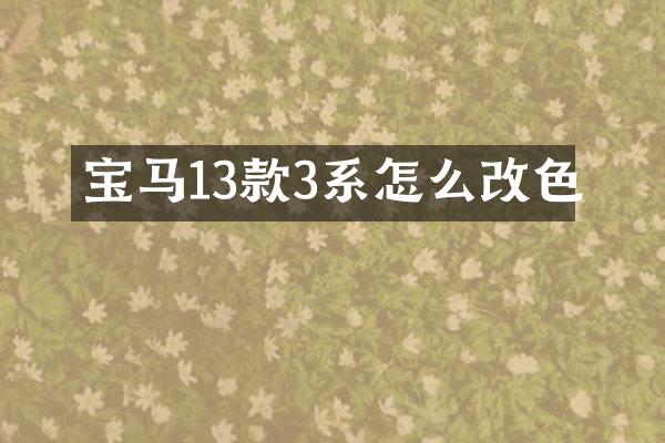 宝马13款3系怎么改色