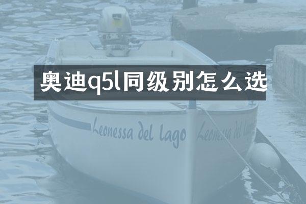 奥迪q5l同级别怎么选