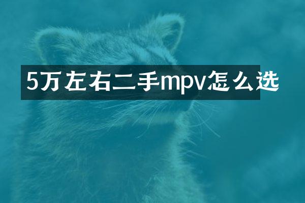 5万左右二手mpv怎么选