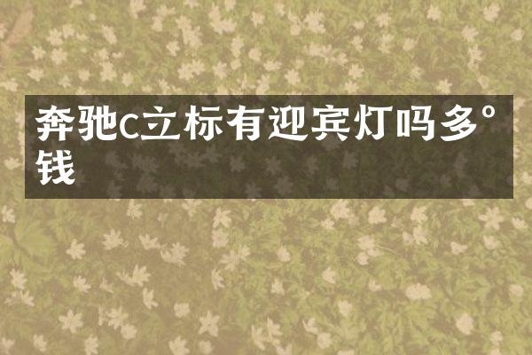 奔驰c立标有迎宾灯吗多少钱