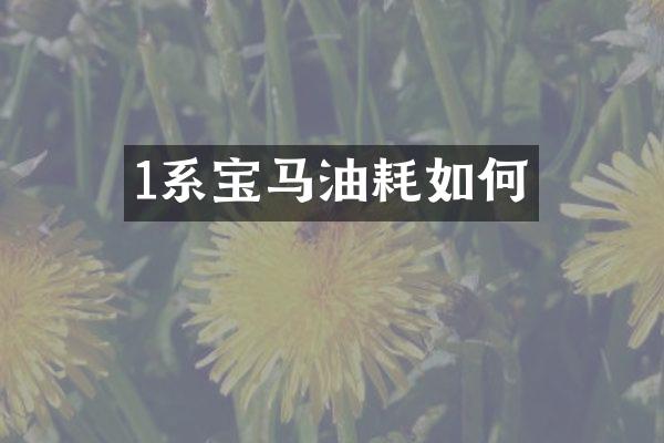 1系宝马油耗如何
