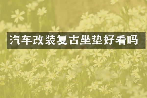 汽车改装复古坐垫好看吗
