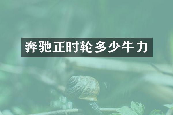 奔驰正时轮多少牛力
