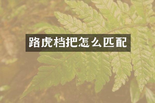 路虎档把怎么匹配