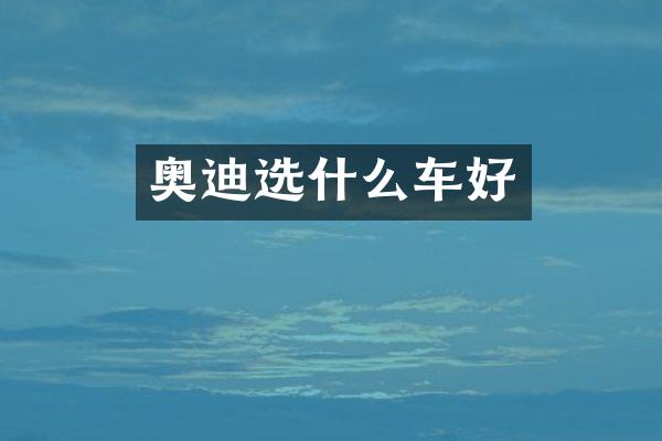 奥迪选什么车好