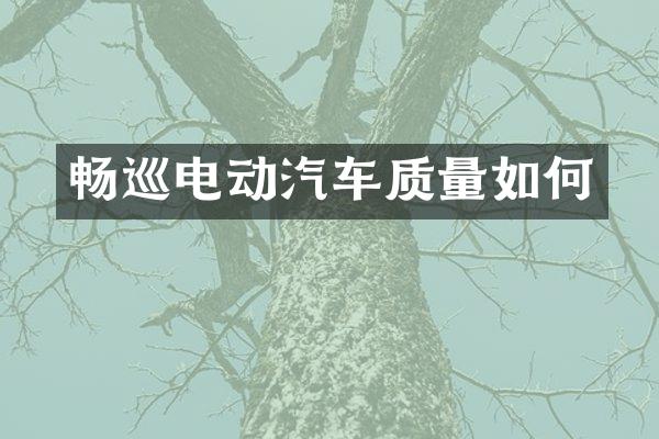 畅巡电动汽车质量如何