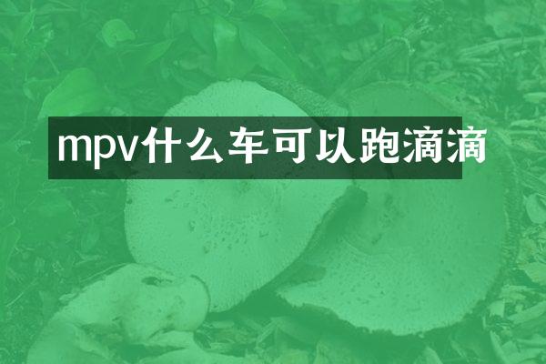 mpv什么车可以跑滴滴