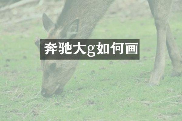 奔驰大g如何画
