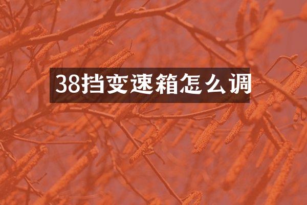 38挡变速箱怎么调