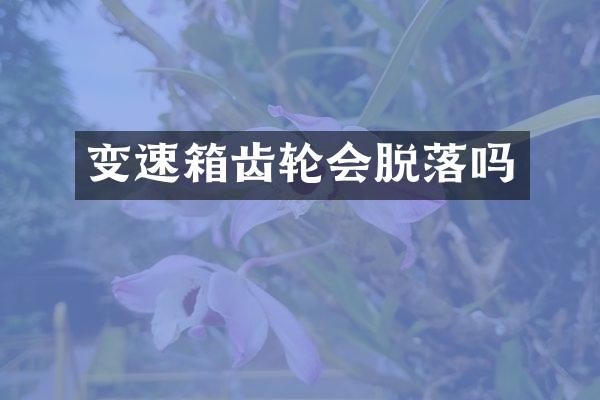 变速箱齿轮会脱落吗