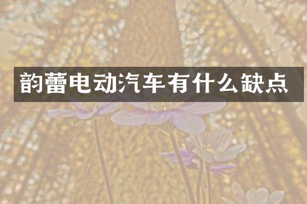 韵蕾电动汽车有什么缺点