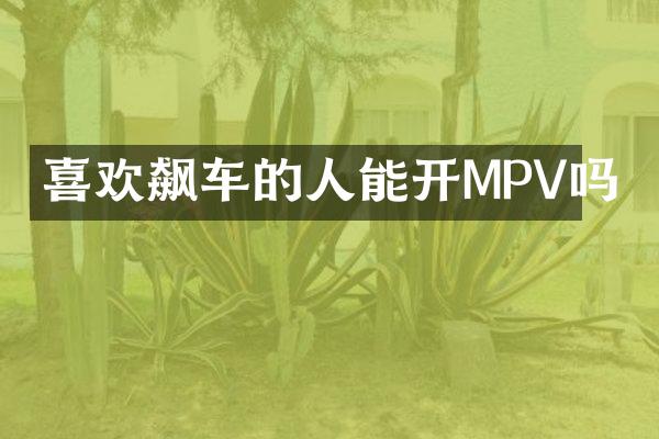喜欢飙车的人能开MPV吗