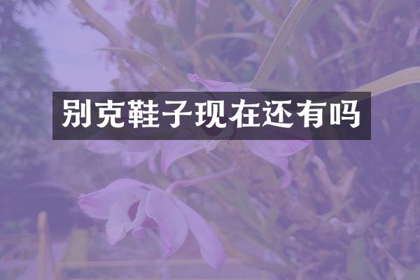 别克鞋子现在还有吗