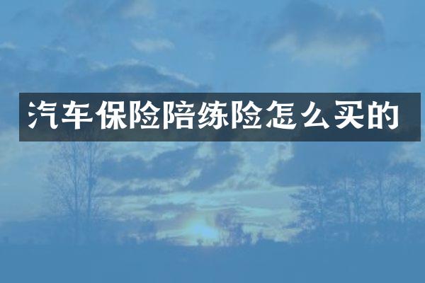 汽车保险陪练险怎么买的