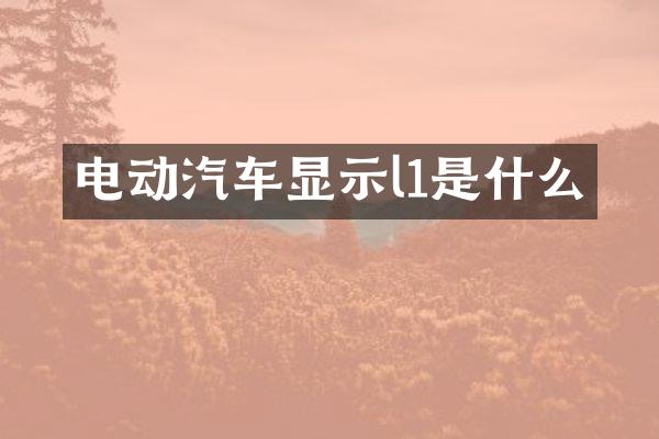 电动汽车显示l1是什么